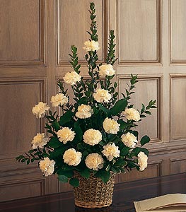 white carnation basket